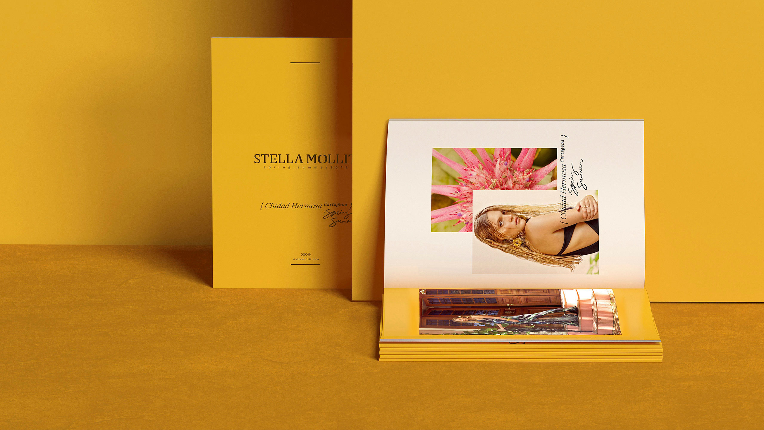 estudio de design carpintaria para Stella Mollit imagem campanha